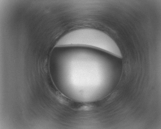 X0000055510364200508120802