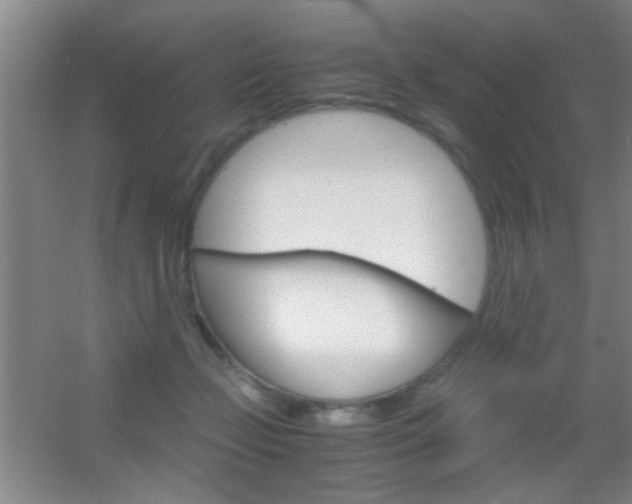 X0000055510365200508120802