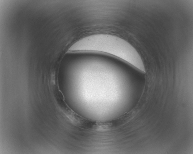 X0000055510368200508120802