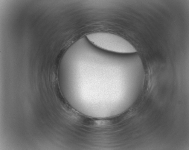 X0000055510371200508120802