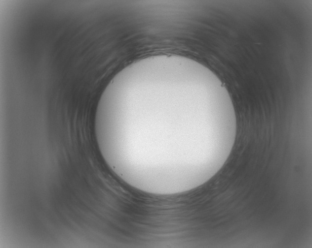 X0000055510376200508120802