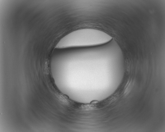 X0000055510378200508120802