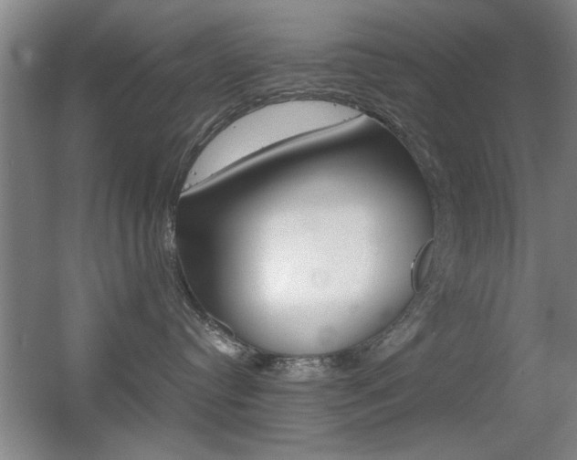 X0000055510384200508120802