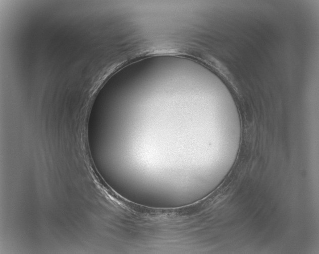 X0000055510385200508120801