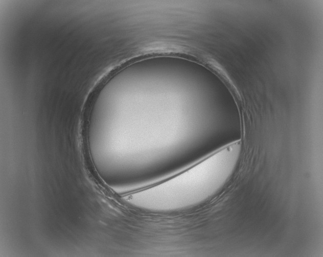 X0000055510387200508120801
