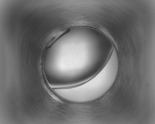 X0000055510389200508120801