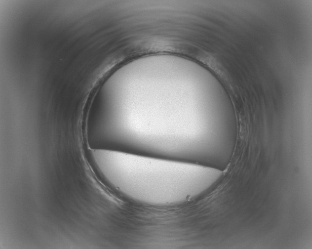 X0000055510390200508120801