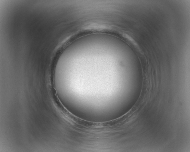 X0000055510399200508120801