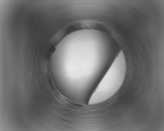 X0000055510413200508120801