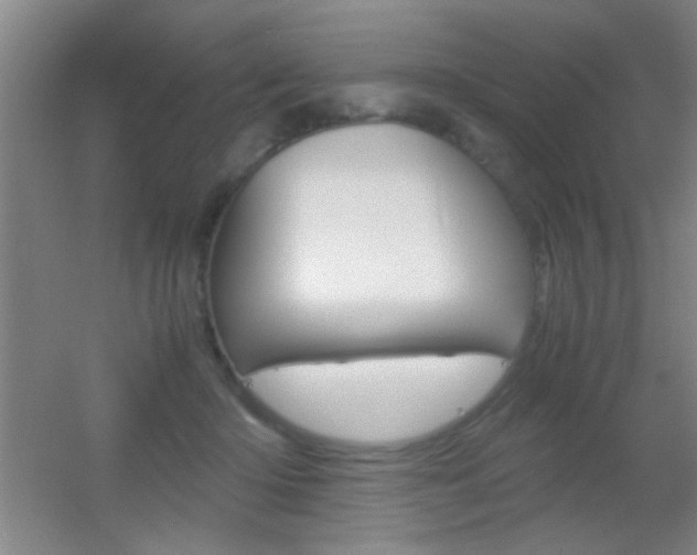 X0000055510414200508120801