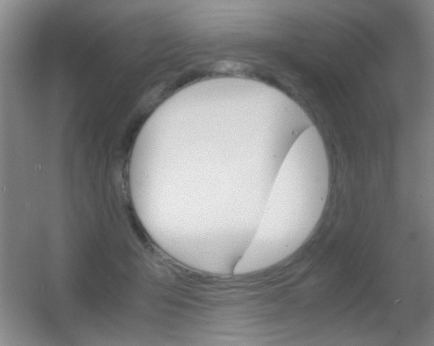 X0000055510415200508120801