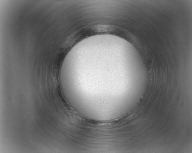 X0000055510422200508120800