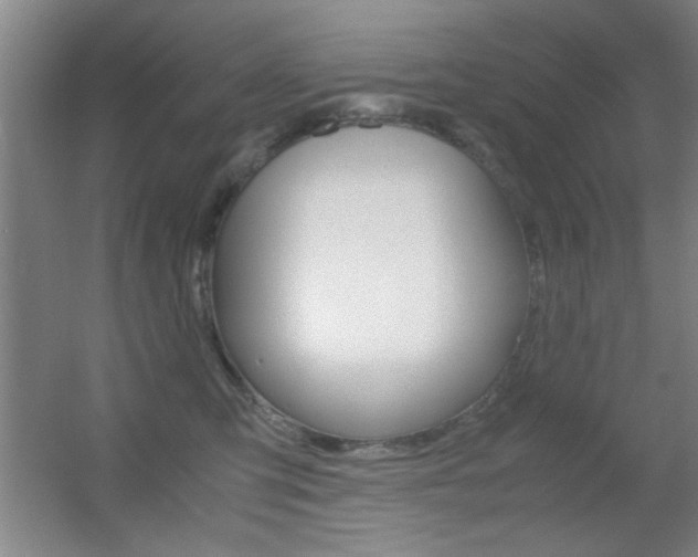 X0000055510423200508120800