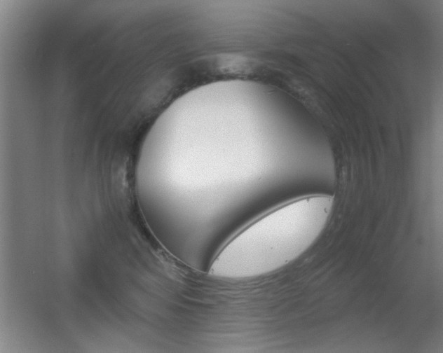 X0000055510424200508120800