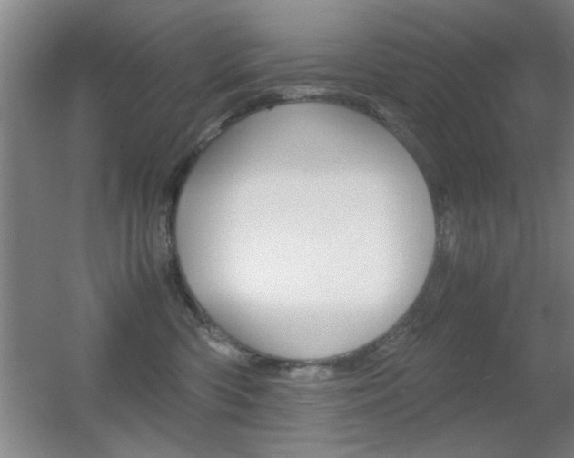 X0000055510426200508120800