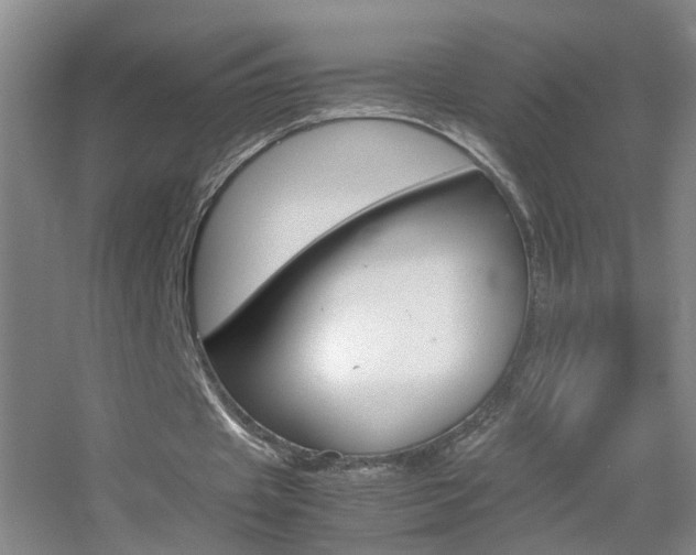 X0000055510433200508120759