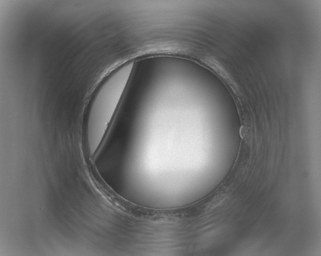 X0000055510434200508120800