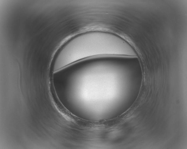 X0000055510438200508120800
