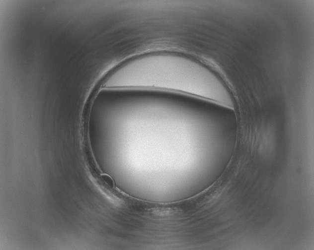 X0000055510439200508120800