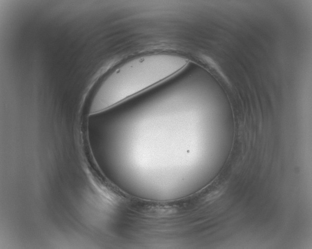 X0000055510443200508120800
