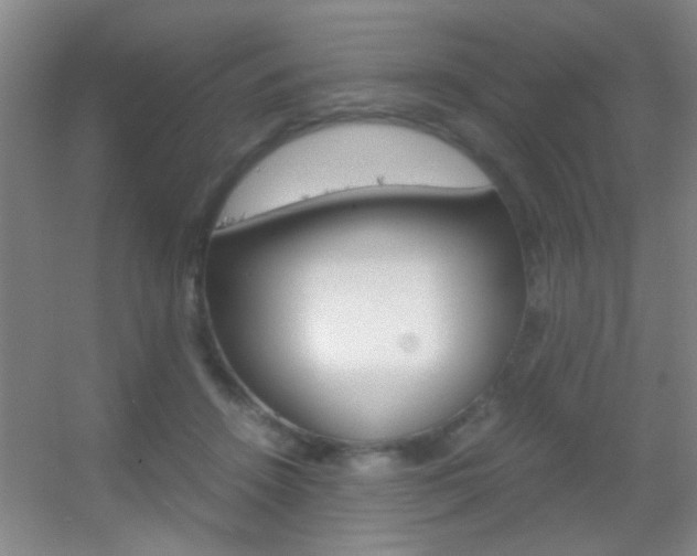 X0000055510456200508120800