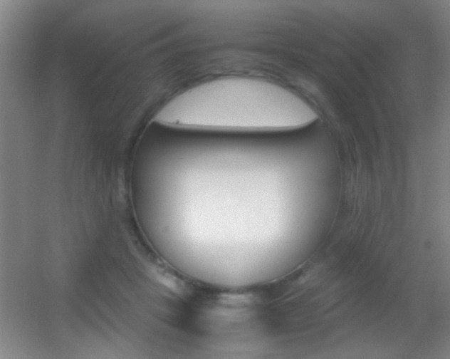X0000055510457200508120800