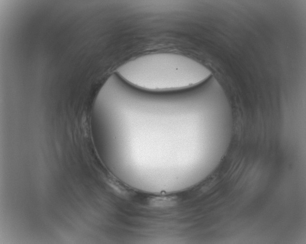 X0000055510465200508120800