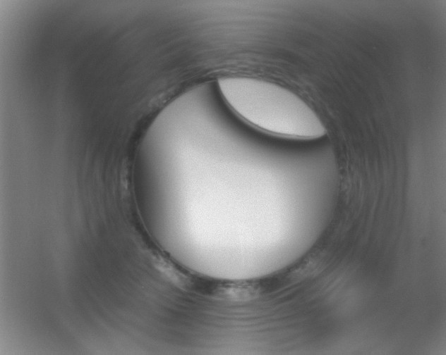 X0000055510466200508120800