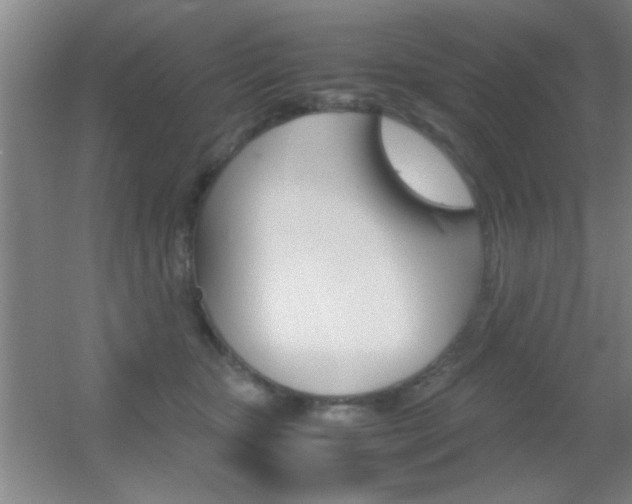 X0000055510467200508120800