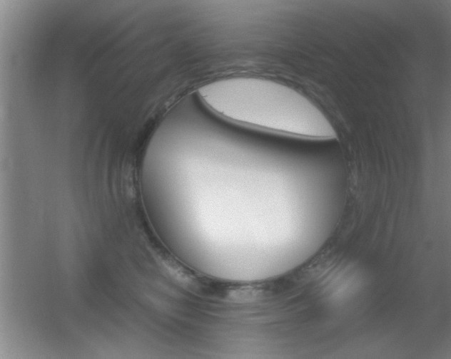 X0000055510470200508120800