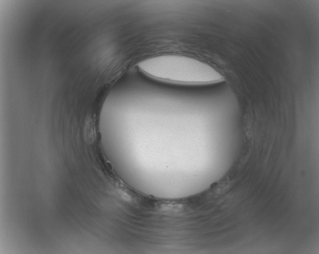 X0000055510471200508120800