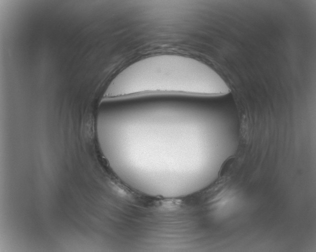 X0000055510474200508120800