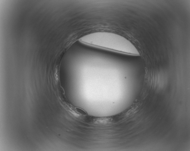 X0000055510479200508120800