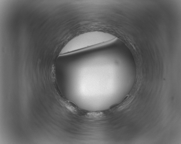 X0000055510480200508120800
