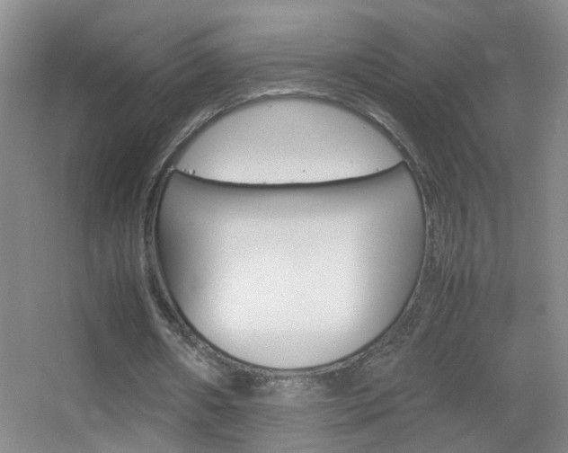 X0000055510482200508120759