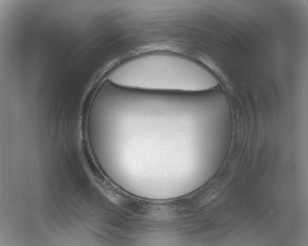 X0000055510486200508120759