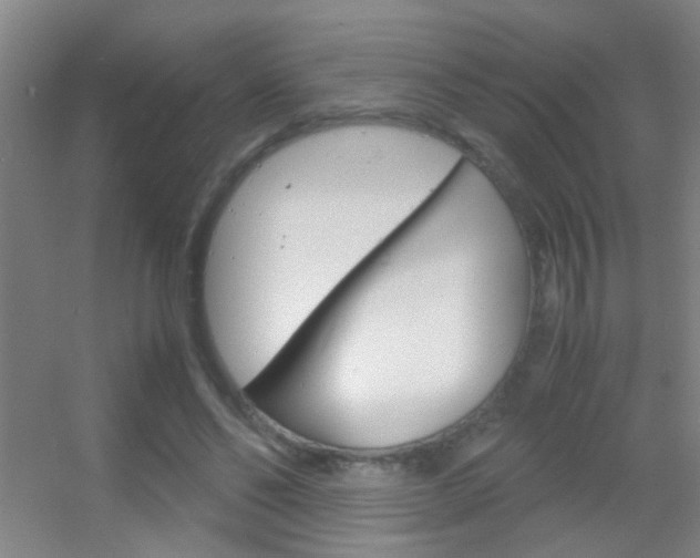 X0000055510494200508120759