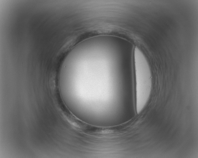 X0000055510501200508120759