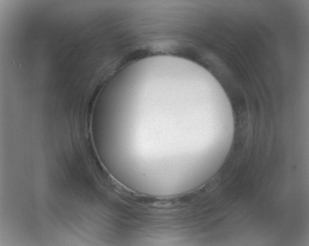 X0000055510502200508120759