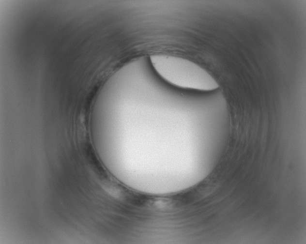 X0000055510506200508120759