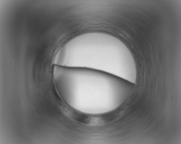 X0000055510507200508120759