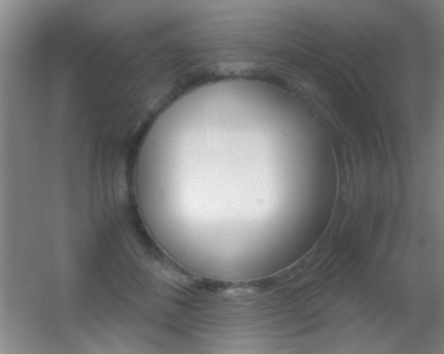 X0000055510508200508120759