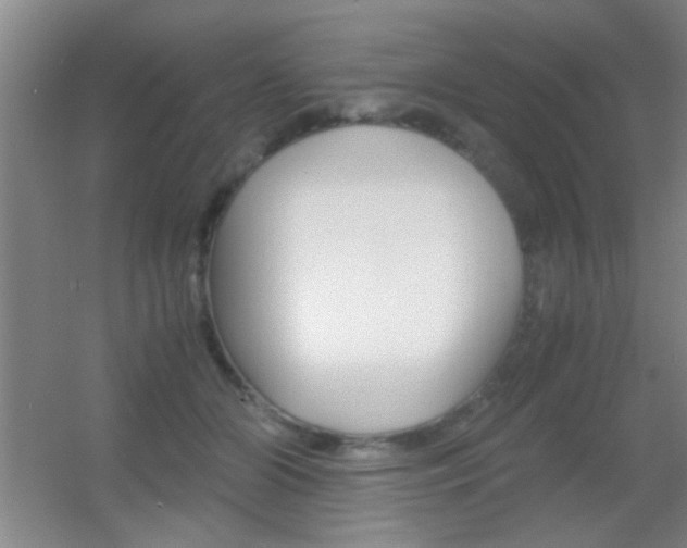 X0000055510510200508120759