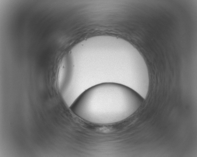 X0000055510511200508120759