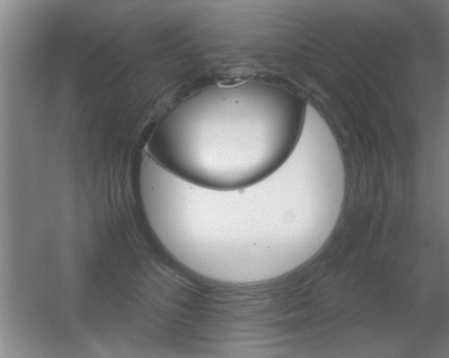 X0000055510516200508120759