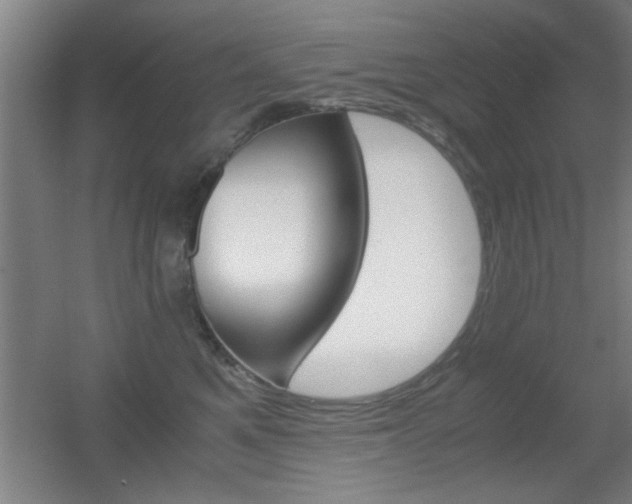 X0000055510521200508120759