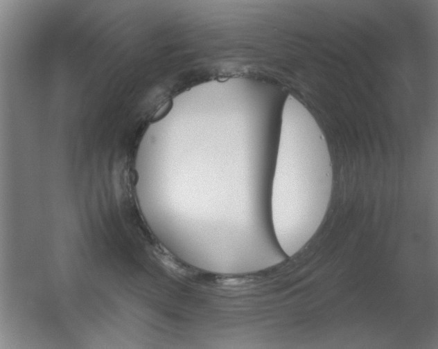 X0000055510522200508120759