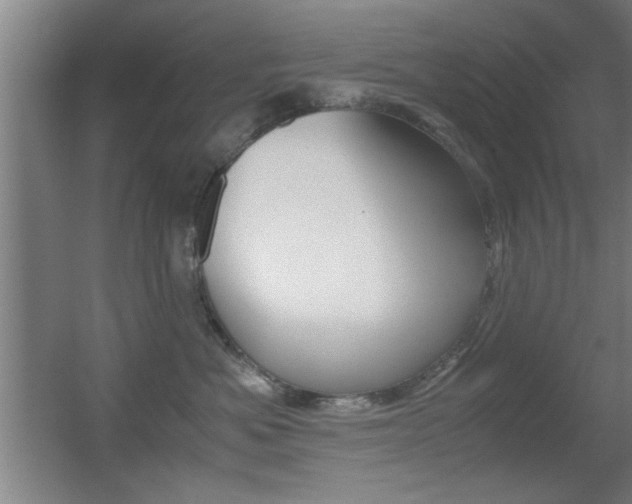 X0000055510525200508120759