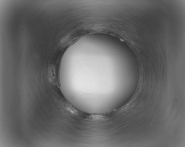 X0000055510528200508120759