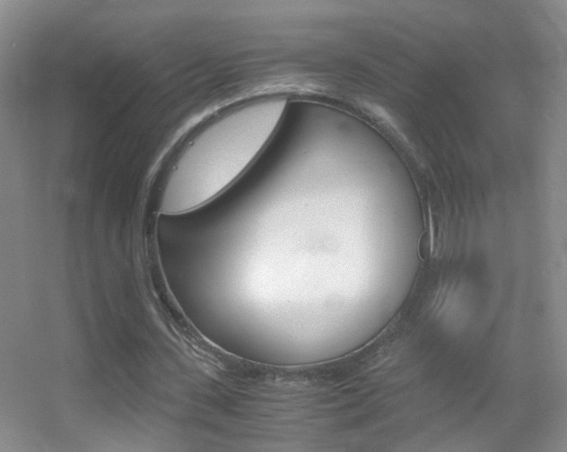X0000055510531200508120758